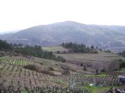Ruta a pie al Mirador. A Ra, Orense